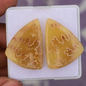 Ammonite Drilled Gemstone Matching Pair | Jewelry Making Supply