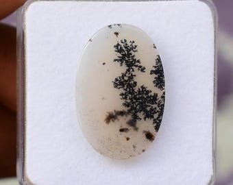 May include: An oval gemstone with a white background and detailed black dendritic patterns, like tiny trees. The stone is presented in a clear plastic case, highlighting its natural features. The stone's dimensions are in centimetres.