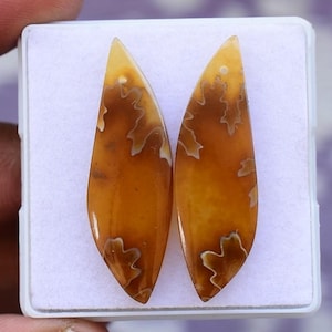 Leaf Ammonite Drilled Matched Pair | Natural Fossil Earrings Stone | Designer Jewelry Supply