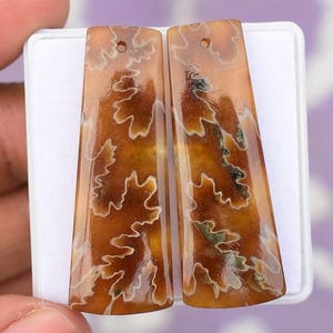 Brown Fossil Ammonite Drilled Matching Cabochon Pair