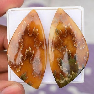 Ammonite Fossil Drilled Pair Natural Cabochon