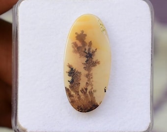 May include: An oval gemstone with a cream base and detailed brown and black dendritic inclusions, like a miniature landscape. The stone is in a clear plastic case, highlighting its natural patterns and colours.