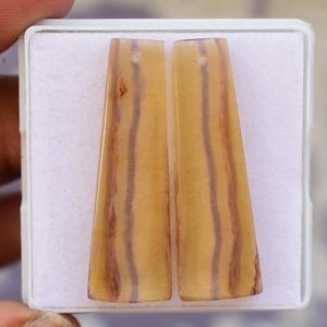 Bio Fluorite Matching Pair Drilled Cabochon Loose Gemstone