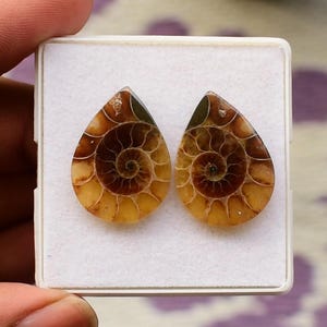 Ammonite Crystal Cabochon Pair: Flat Back Gemstone for Jewelry Making (26x19 MM, 29 Carat