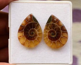 Ammonite Crystal Cabochon Pair: Flat Back Gemstone for Jewelry Making (26x19 MM, 29 Carat