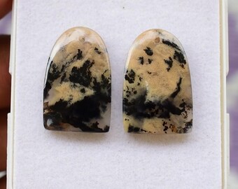Tiger Dendrite Agate Cabochons: Matched Pair Gemstones, 23x15mm