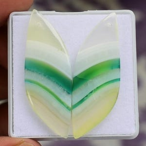 Può includere: Due fette di pietra d'agata lucidata in una scatola bianca. Le pietre sono a forma di foglia, con strati di bianco, verde e giallo. Ogni pietra ha un piccolo foro nella parte superiore. Le pietre preziose sono esposte su una superficie bianca.