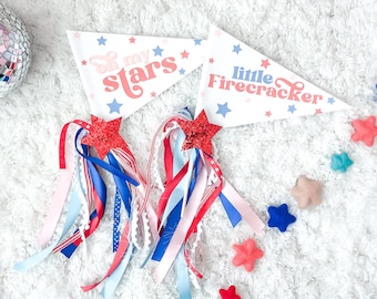 Little Firecracker Pennant Flag