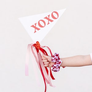 XOXO Valentines Day Pennant Flag