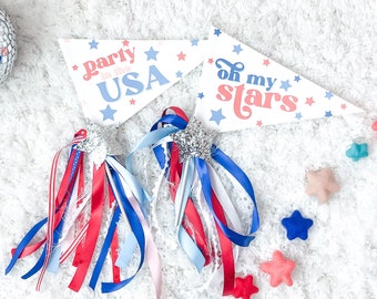 4th of July Party Pennant Flag