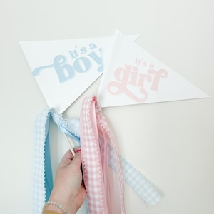 It’s a Girl | it’s a Boy pennant flag
