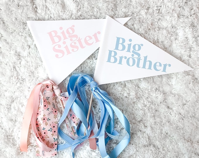 Pregnancy Announcement Sign, Big Sister Announcement, Wood Pregnancy ...