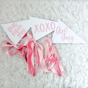 XOXO  Valentines Day Pennant Flag