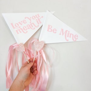 Love You Mean it  Valentines Day Pennant Flag