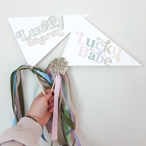 Lucky Charm St. Patrick’s Day Pennant Flag