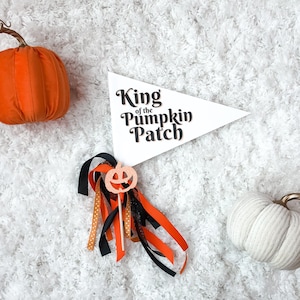Könnte beinhalten: Ein weißes Wimpelbanner mit dem Text "King of the Pumpkin Patch" wird angezeigt. Ein glitzernder Kürbis auf einem Stock mit orangefarbenen, schwarzen und gepunkteten Bändern befindet sich vor der Flagge. Zwei dekorative Kürbisse sind ebenfalls im Bild.