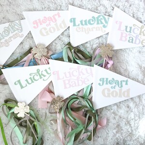 Lucky Charm St. Patrick’s Day Pennant Flag
