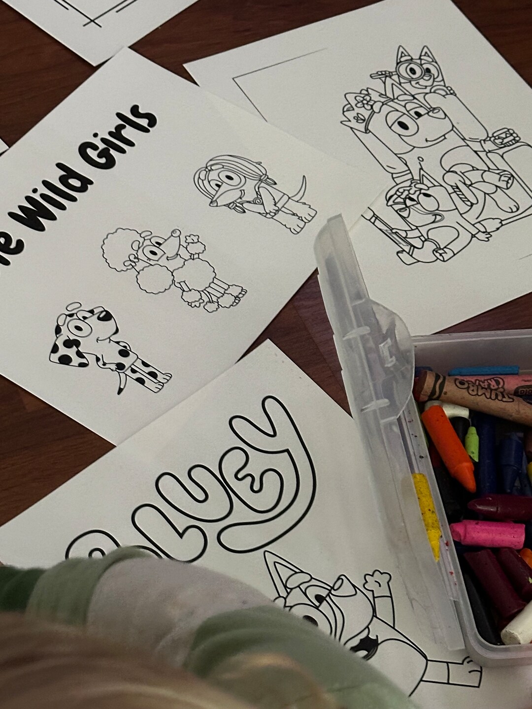Bluey Coloring Sheet, Coloring Sheet, Coloring, 10 Different Assorted