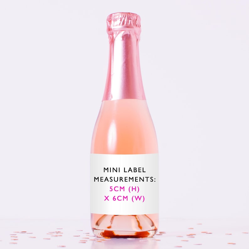 May include: A miniature glass bottle filled with a light pink liquid, featuring a metallic pink foil neck wrap and a white rectangular label. The label displays the black text MINI LABEL MEASUREMENTS: 5CM (H) X 6CM (W) in pink lettering.
