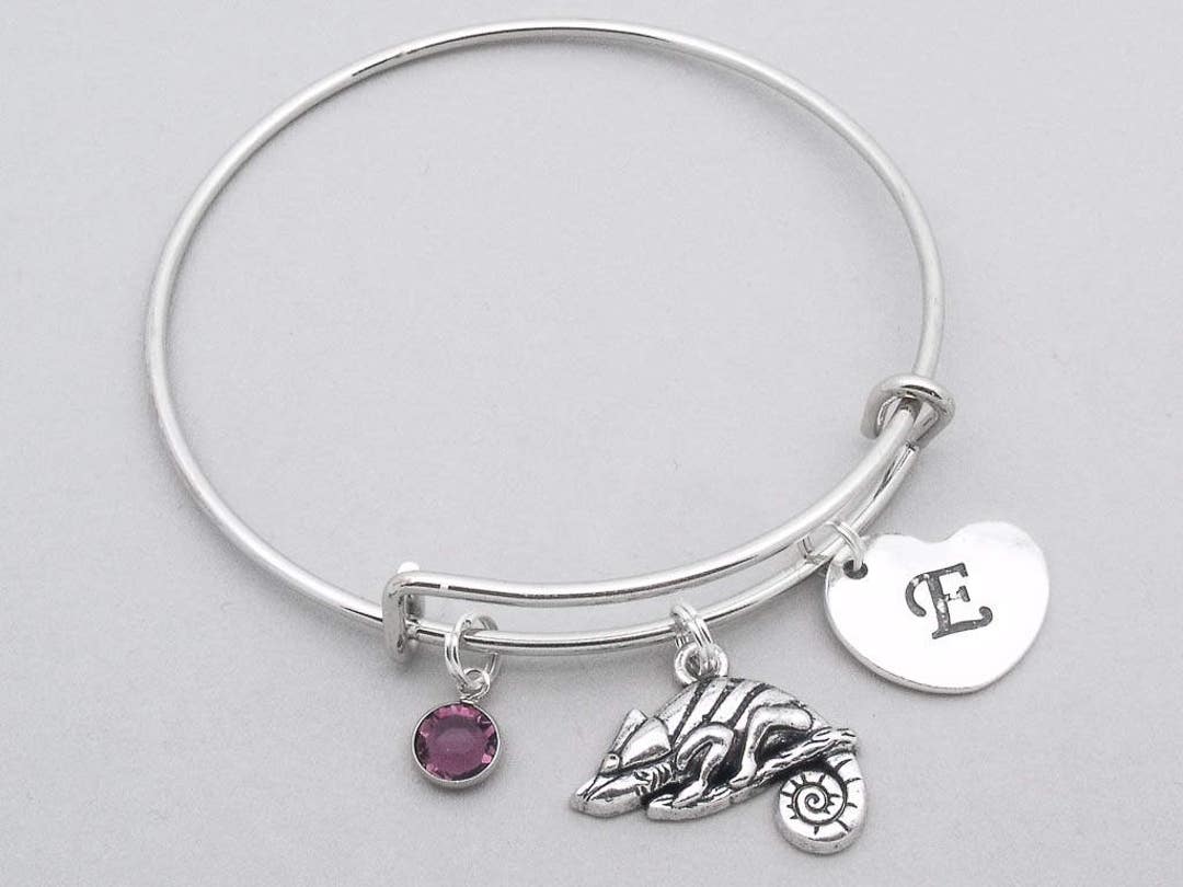 Chameleon Heart Charm Bracelet Chameleon Bangle Etsy Australia