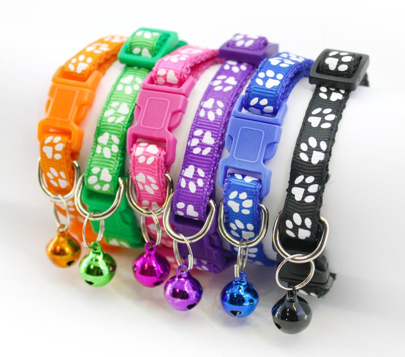 Glow in the Dark Cat Collar Cute Dog Collar Glowing Pet Collar Etsy