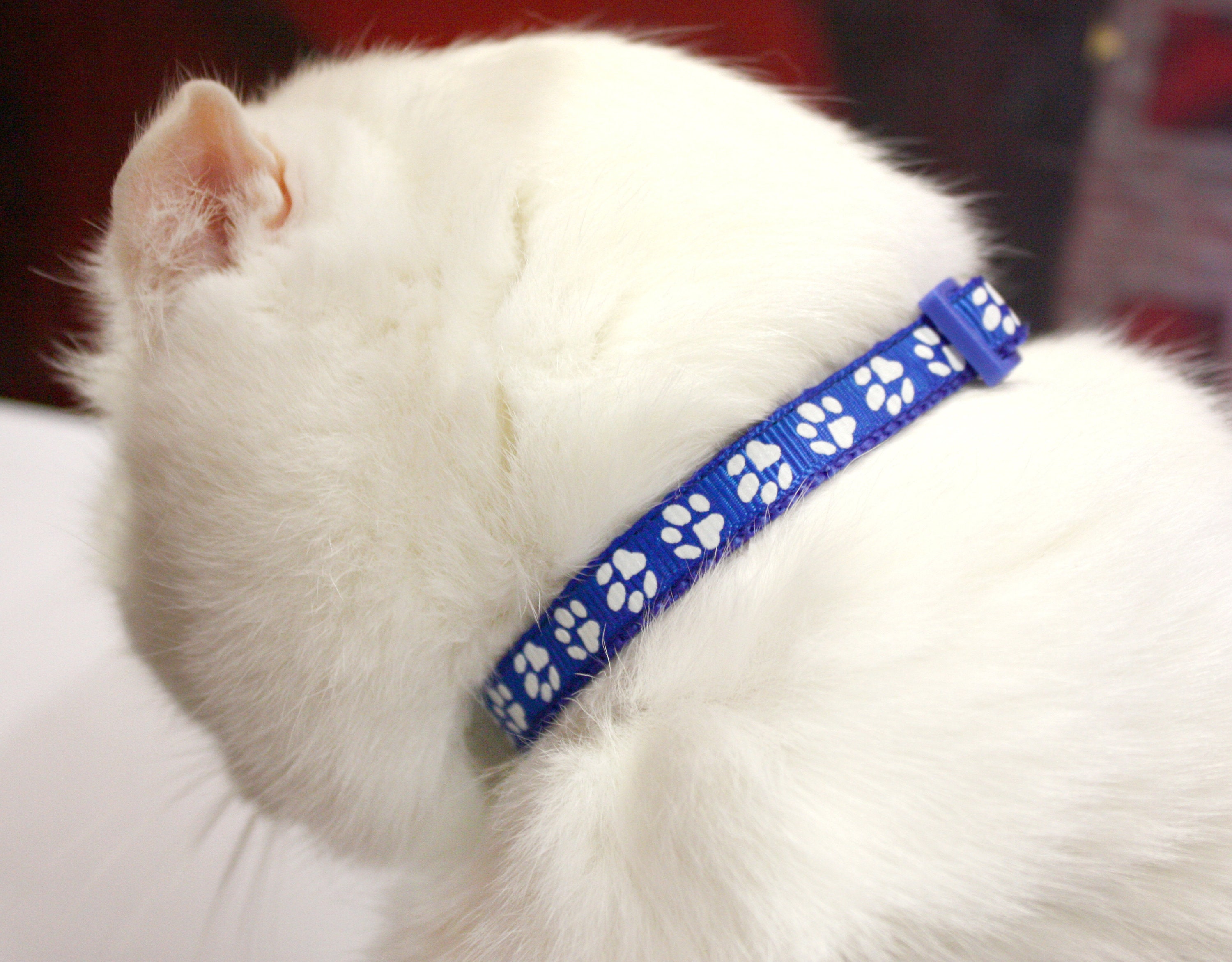 Breakaway Cat Collar Cute Cat Collar With Bell Pet Collar Etsy UK
