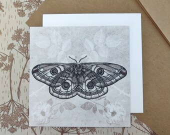 Emperor Moth Art Print | Vintage Print | Insect Drawing