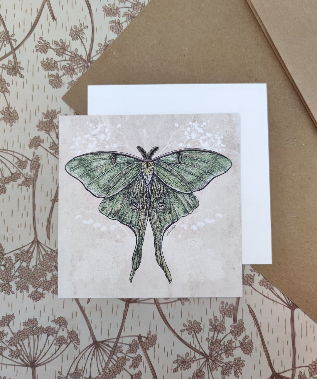 Luna Moth Art Print | Vintage Artwork | Insect Drawing - Etsy
