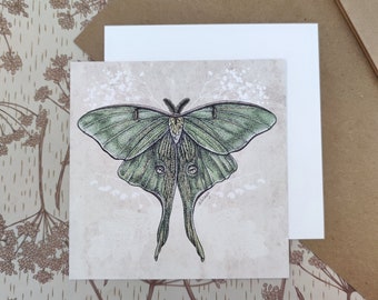 Luna Moth Art Print | Vintage Artwork | Insect Drawing