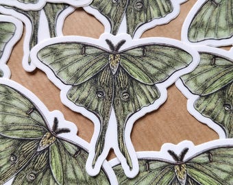 Naklejka Luna Moth