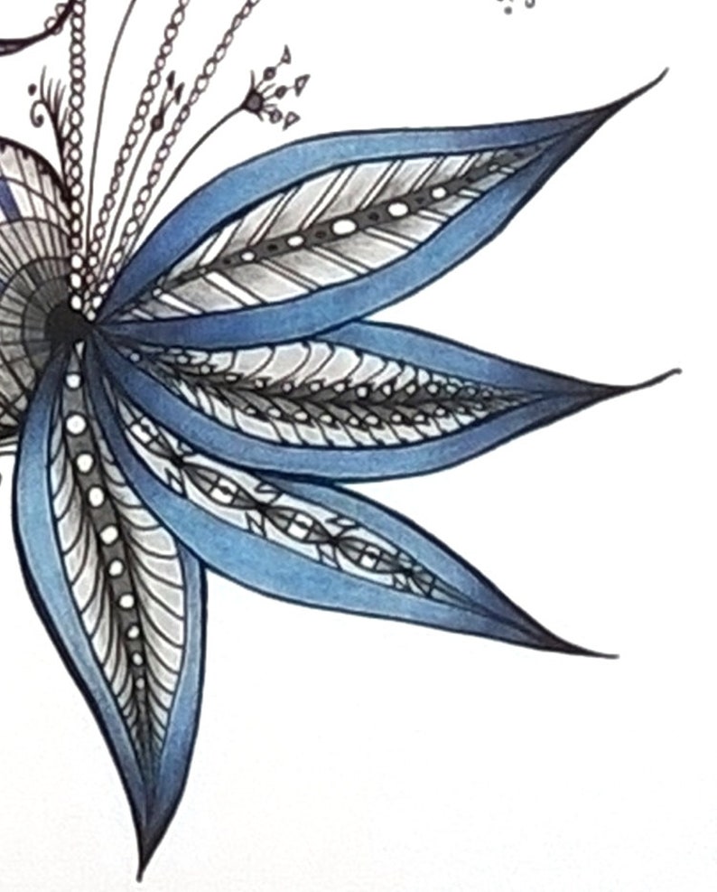 May include: A blue and black detailed floral design with intricate patterns and white dots.