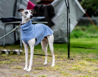 warm, sporty shirt for greyhounds