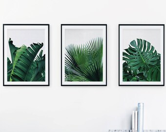 Set of 3 Prints, Tropical Leaf Print Set, Leaf Wall Art, Banana Leaf Set, Monstera Palm Leaves Print, Tropical Decor, Botanical Print Set