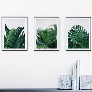 Set of 3 Prints Tropical Leaf Print Set Leaf Wall Art - Etsy