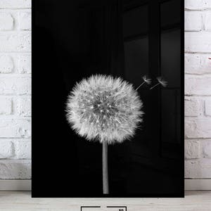 Dandelion Wall Art Prints, Black and White Prints, Scandinavian, Modern Minimalist Art, Dandelion Print, Modern Wall Decor, Digital Download image 2