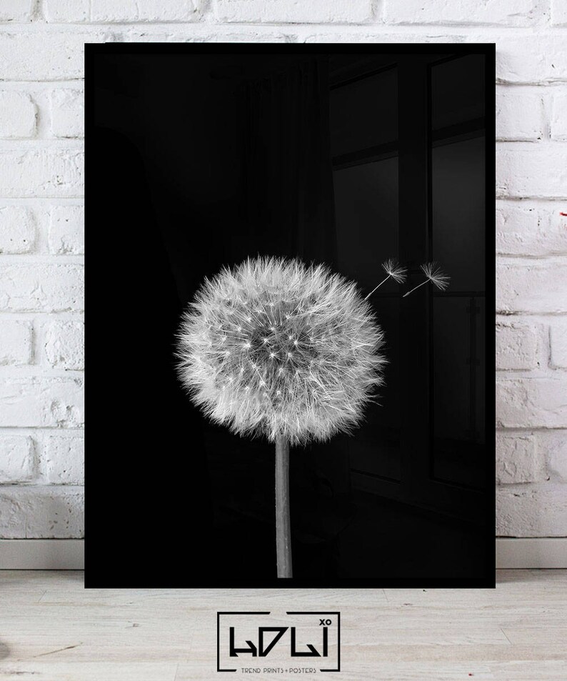 Dandelion Wall Art Prints Black and White Prints Etsy