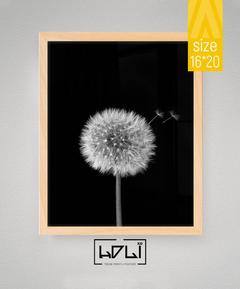 Dandelion Wall Art Prints, Black and White Prints, Scandinavian, Modern Minimalist Art, Dandelion Print, Modern Wall Decor, Digital Download image 5