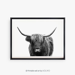Black and White Cow, Bathroom Decor, Western Bathroom Wall Decor, Eco Friendly Bathroom Wall Art, Farmhouse Wall Decor, Rustic Living Room