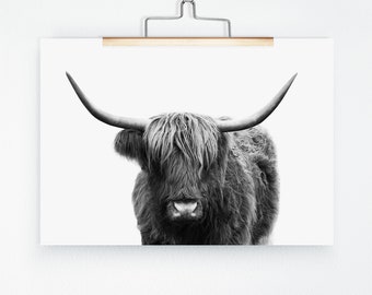 Cow Wall Art, Black and White Bathroom Decor Ideas, Boho Bathroom Wall Decor, Farmhouse Bathroom Wall Art, Modern Kitchen, Living Room Decor