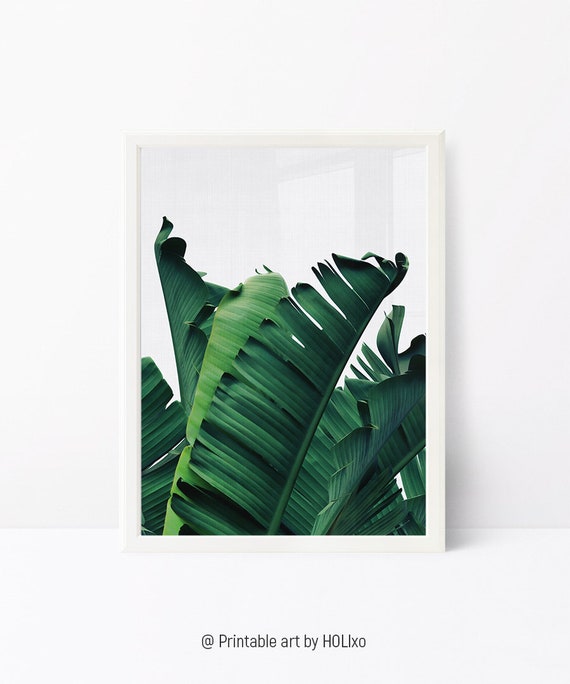 Banana Leaf Print Tropical Wall Art Printable Digital Etsy