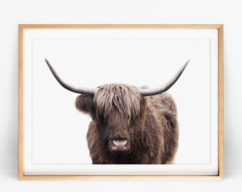 Highland Cow Print, Farmhouse Kitchen Decor, Rustic Country Modern Living Room Decor Wall Art, Large Printable Cow Photo, Farm Animal Poster