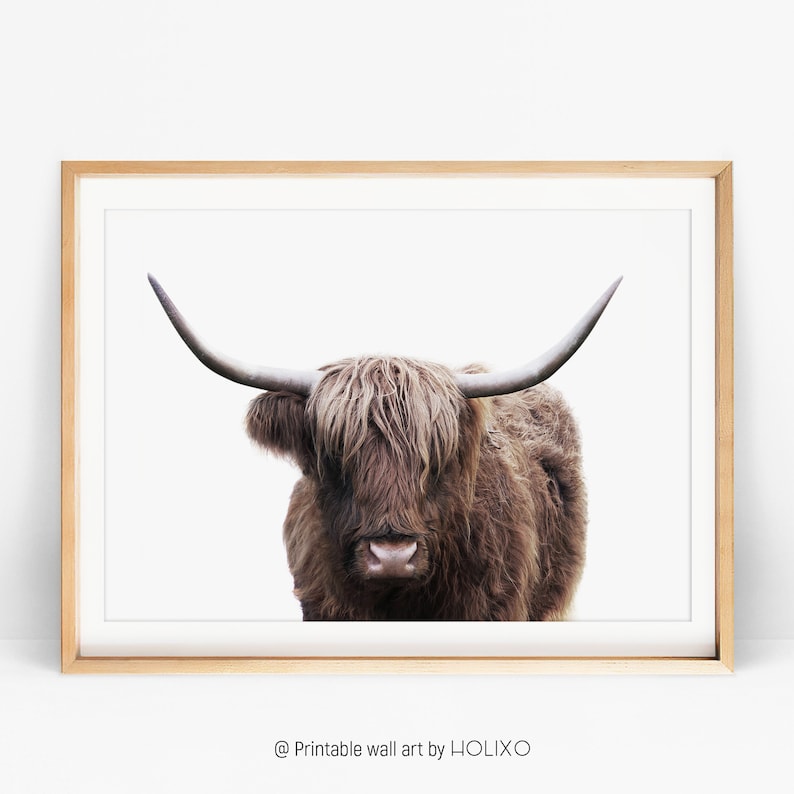 Highland Cow Print Farmhouse Kitchen Decor Rustic Country Image 0