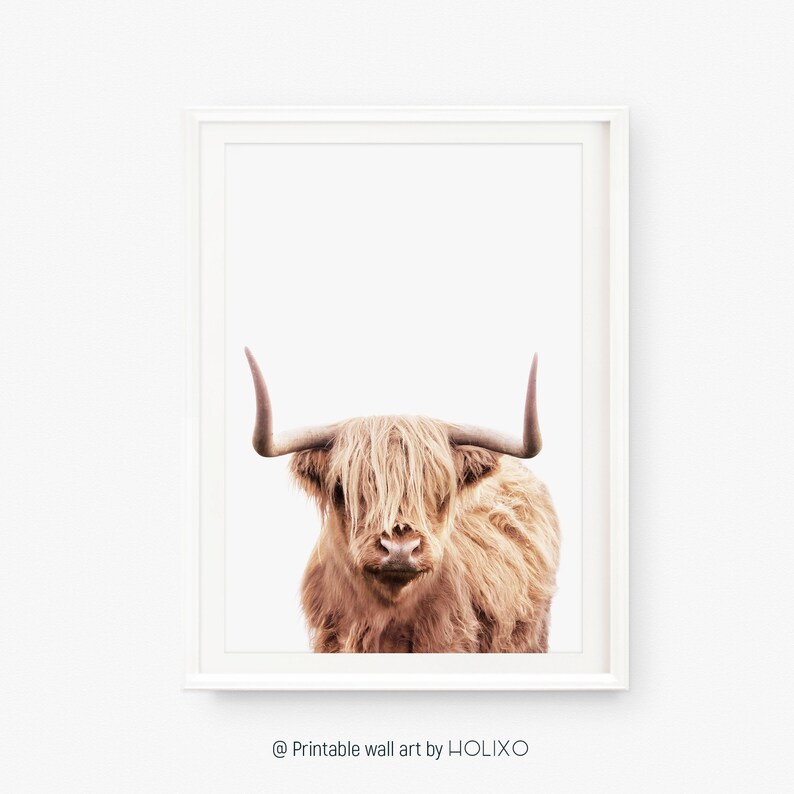 Highland Cow Print, Modern Boho Bedroom Wall Decor, Farmhouse Wall Art, Farm Animal, Printable