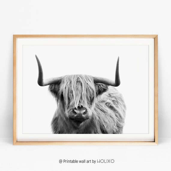 Highland Cow Print Black And White Farmhouse Wall Art Living Etsy