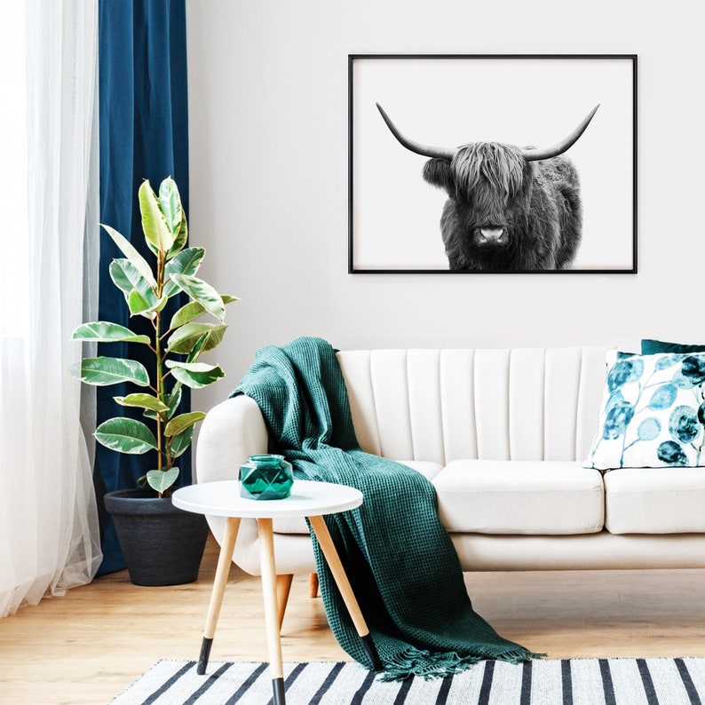 Pode incluir: Fotografia a preto e branco de uma vaca Highland com chifres longos e p&ecirc;lo hirsuto, enquadrada numa moldura preta e pendurada numa parede branca acima de um sof&aacute; branco com uma manta de arremesso turquesa e uma pequena mesa redonda com um vaso turquesa.