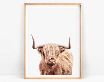 Highland Cow Print, Modern Boho Bedroom Wall Decor, Farmhouse Wall Art, Farm Animal, Printable Large Cow Poster, Bohemian Rustic Living Room