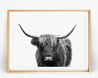 Highland Cow Print, Farmhouse Wall Decor, Modern Kitchen Decor Wall, Rustic Living Room Black and White Poster, Printable Large Cow Wall Art