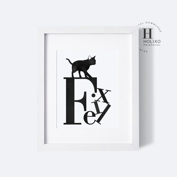 Cat Lover Gifts For Women, Funny Cat Gifts For Cat Lovers, Best Cat Mom  Gift Box For Mother's Day, Birthday, Christmas, Unique Silhouette Cat  Themed
