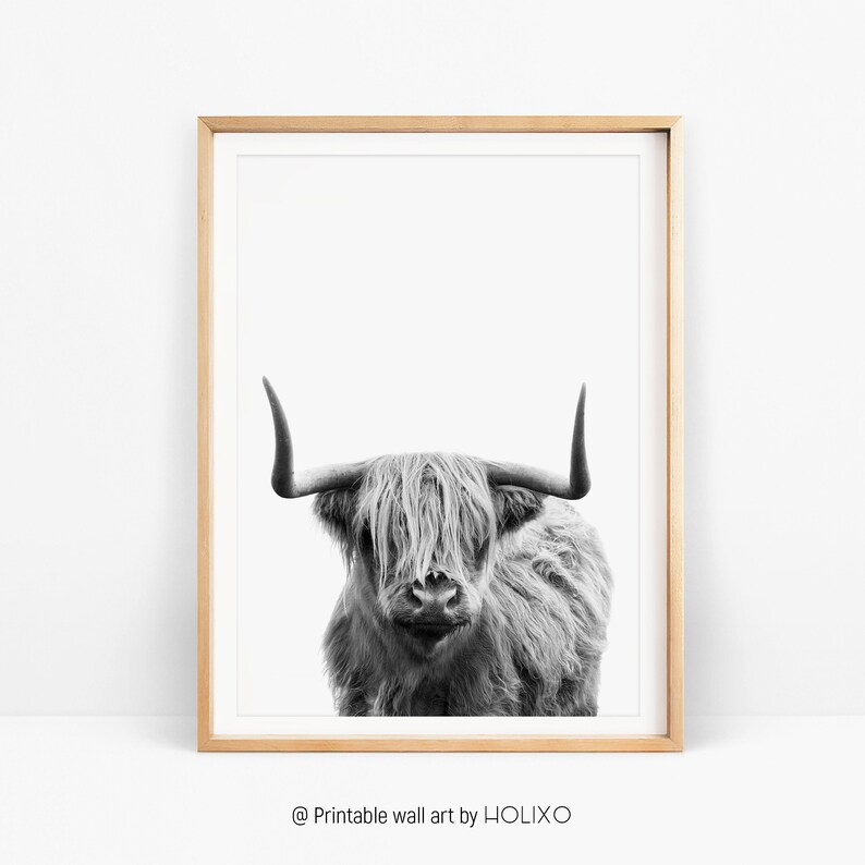 Highland Cow Print Modern Farmhouse Decor Living Room Wall Image 0