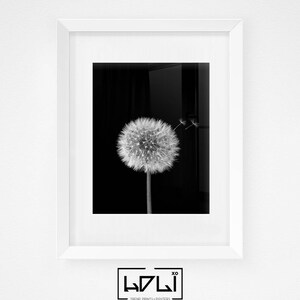 Dandelion Wall Art Prints, Black and White Prints, Scandinavian, Modern Minimalist Art, Dandelion Print, Modern Wall Decor, Digital Download image 6